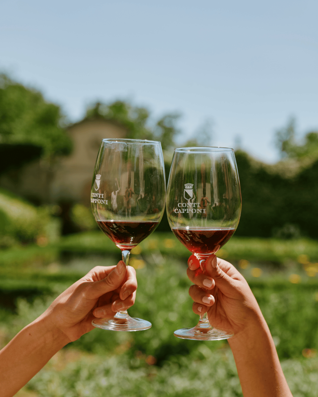 Chianti wijnen