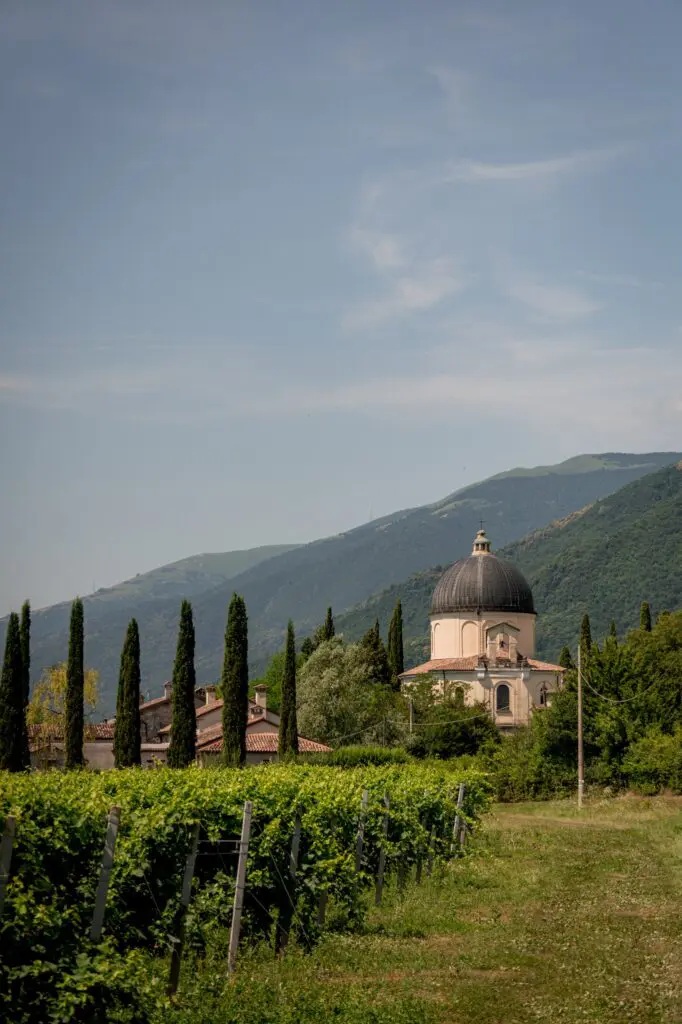 wijngaard met een kerk met koepel en cipressen in Veneto, Italië