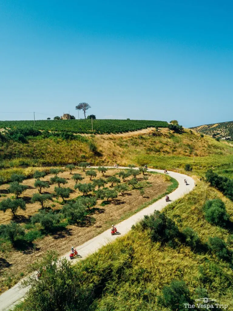 vespas riding on winding road through olive groves in Sicily