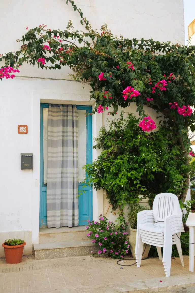 White building with blue door and blooming bougainvillea