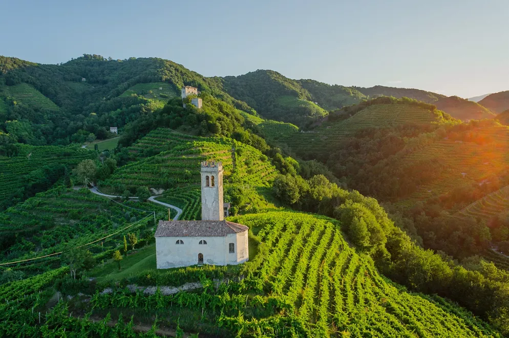 panoramisch uitzicht op wijngaarden in Veneto wijngaarden in Veneto