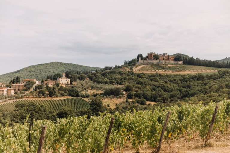 Weinberge Toskana Rondreis
