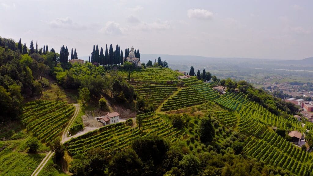 drone shot of Italian hillside vineyards with a church