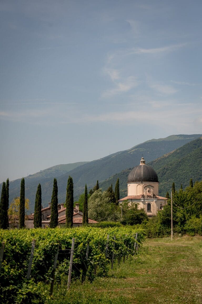vineyard with a domed church and cypress trees in Veneto, Italy