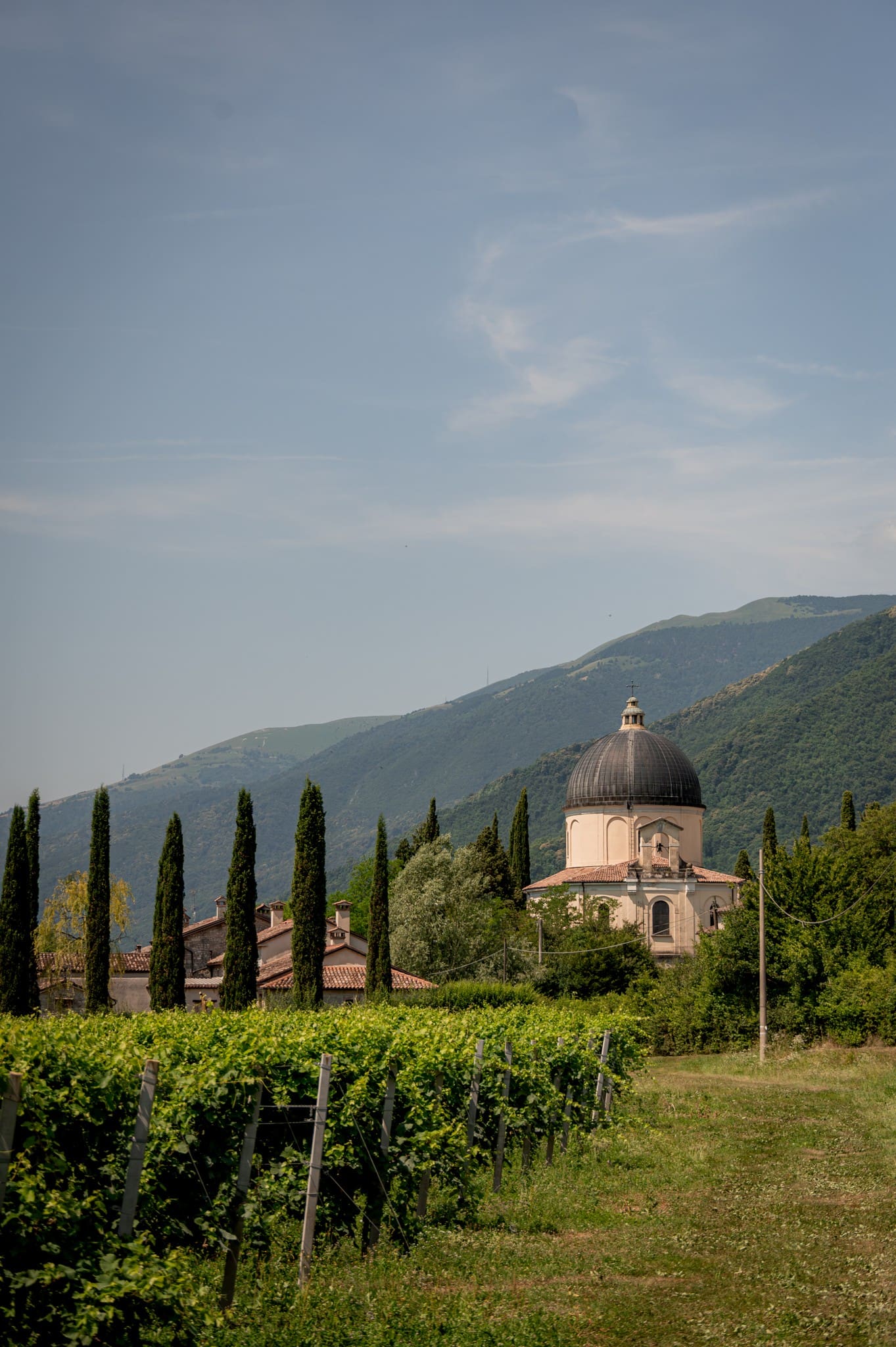 vineyard with a domed church and cypress trees in Veneto, Italy