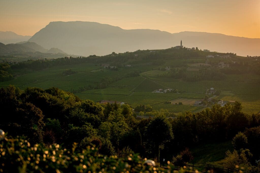 vineyards and village with bell tower at sunset in Veneto