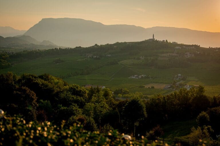 vineyards and village with bell tower at sunset in Veneto