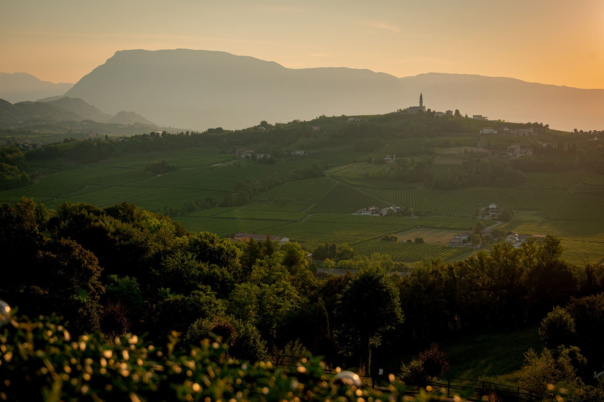 vineyards and village with bell tower at sunset in Veneto